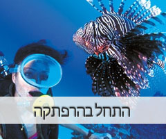 צלילת הכרות