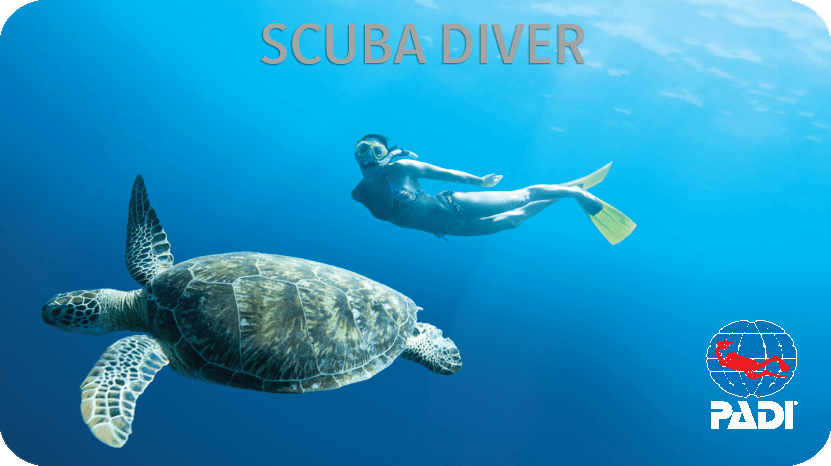 padi scuba diver